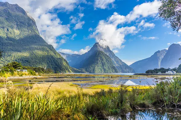 Neuseeländische Impressionen für Selbstfahrer - von Christchurch nach Auckland