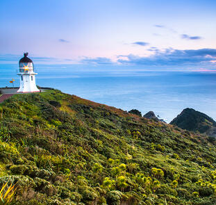 Bay of Islands ─ Inselwelt Neuseelands