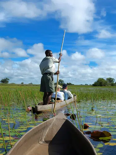 Wildes Herz Afrikas - Botswana und Simbabwe