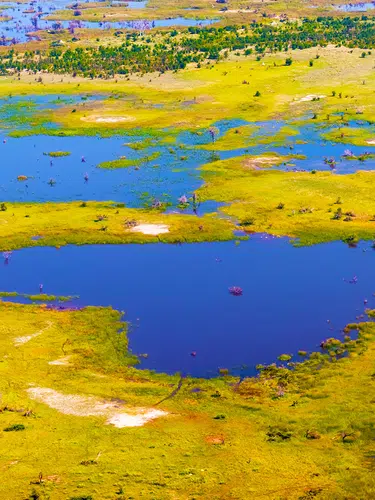 Wildes Herz Afrikas - Botswana und Simbabwe