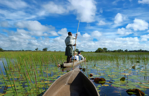 Wildes Herz Afrikas