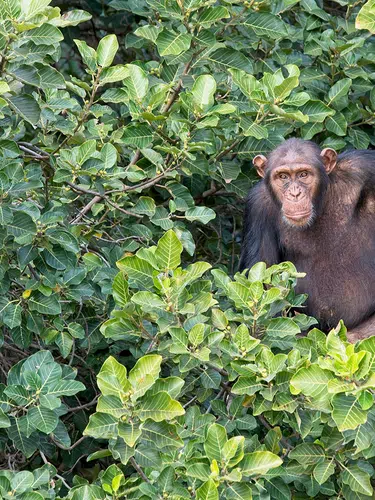 Gambia privat entdecken